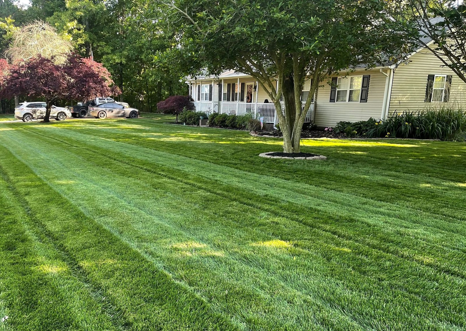 Lawn Mowing
